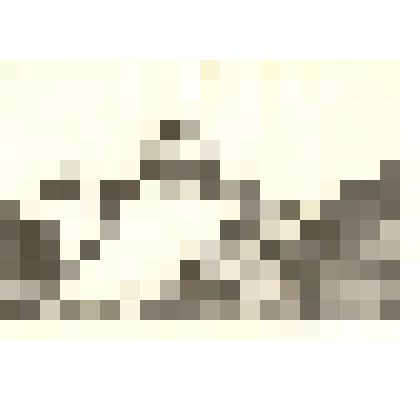 Фотография: строительство дамбы на набережной г.Камень-на-Оби для ограждения мельницы от паводковых вод