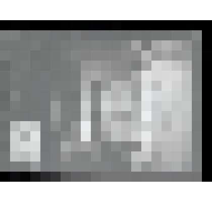 Негатив. Церковь Вознесения Господня. Галерея. Село Коломенское