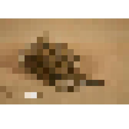 Кронштейн-консоль от иконостаса