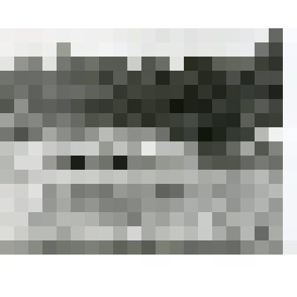 Фотография. Старт автомобилей «УАЗ-469» на чемпионате СССР по автокроссу