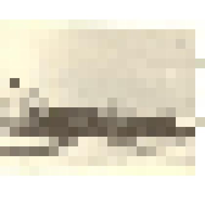 Фотография: колонна Каменского училища механизации сельского хозяйства на демонстрации 7 ноября 1957 года