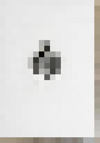 Портрет Г.А. Потёмкина-Таврического. С гравюры Дж. Уокера (1792) с портрета И.-Б. Лампи (1789)