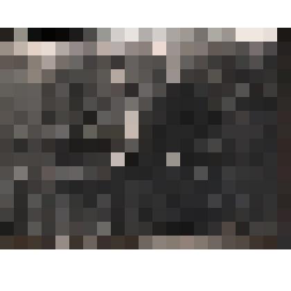 Фотография ч/б семейная "Любимов и Губина с сыном"