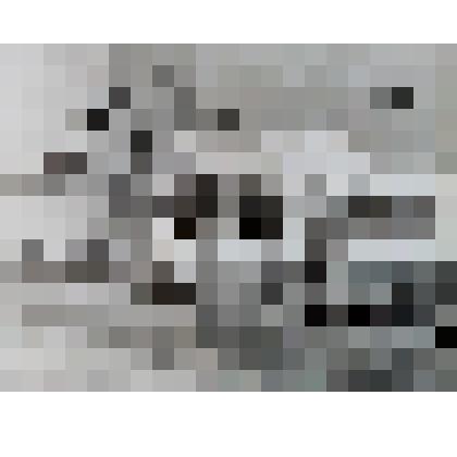 Фотография  черно-белая. Клуб  совхоза  имени  Анатолия