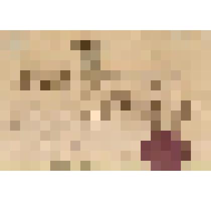 Документ. Образец почтовых расписок в домарочный период. Расписка Старицкой почтовой конторы на получение 123 рублей серебром, для пересылки в Москву Александру Булгакову