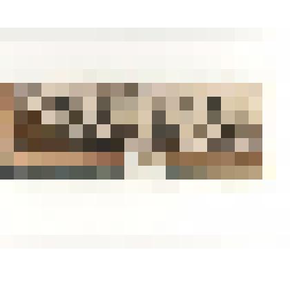 Фотография. Передовики племзавода