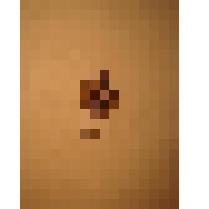 Жетон с изображением Л.Н.Толстого