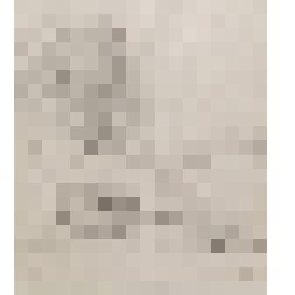 "Деревня Овчино. Западные Новосокольники"