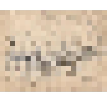 к картине "Конец  Вильгельма Густлова". Эскиз