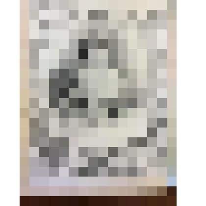 Гравюра. Серия из 12 литографий выполненных по рисункам Греведона и  Сорье по собственным оригиналам  в типографии Лемерсье, соответствующих 12-ти месяцам года. "Июль"