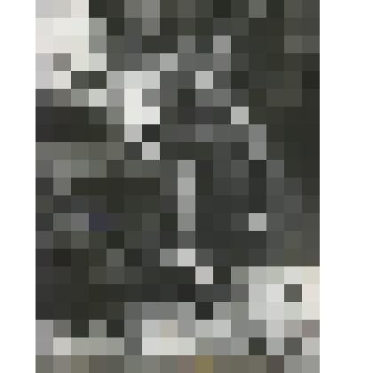 Фотография. Супруги Антипины на отдыхе в санатории  "Голубое озеро"