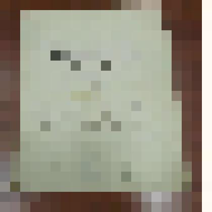 Выпись из метрической книги родившихся за 1894 год