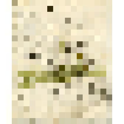 Отношение городской думы Сольвычегодскому благочинному