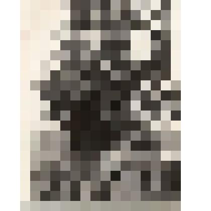 Фотография видовая. Братская могила советских воинов в с. Дроновка