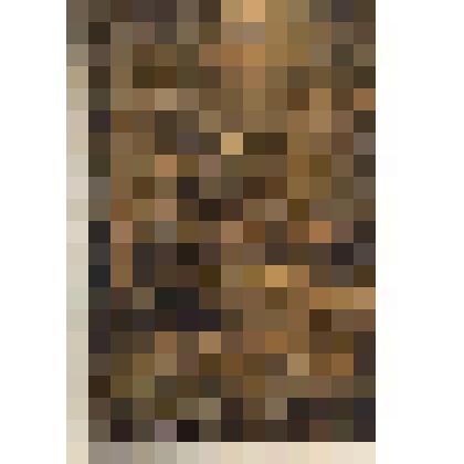 Документ. Открытое письмо "Прогулка по лесу"