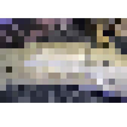 фрагмент бивня мамонта