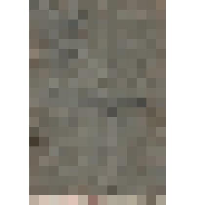 Документ "Трудовая книжка б/н Т.К.Комисаровой."