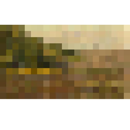 Солнечный день. Этюд