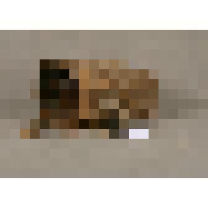 "Пестерь" - заплечный кузовок