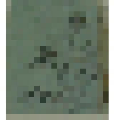 Старик-крестьянин. Коллекция И.С. Зильберштейна, рисунок