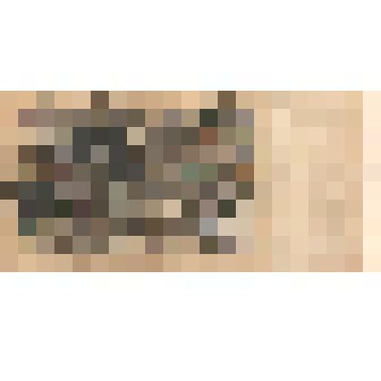 Государственный кредитный билет достоинством 100 рублей 1910 года № БЗ 095477