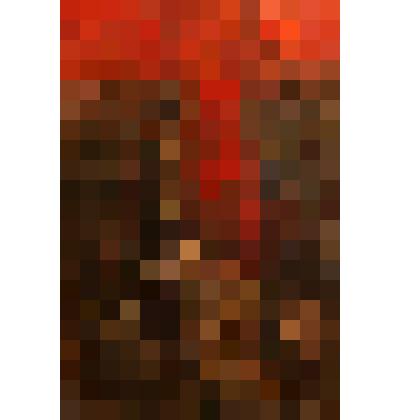 Харон. Картина