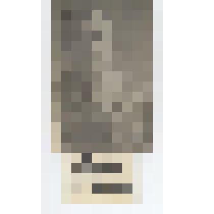 Фотография. Абанин Василий Николаевич, участник ВОВ, Медведевский с/с