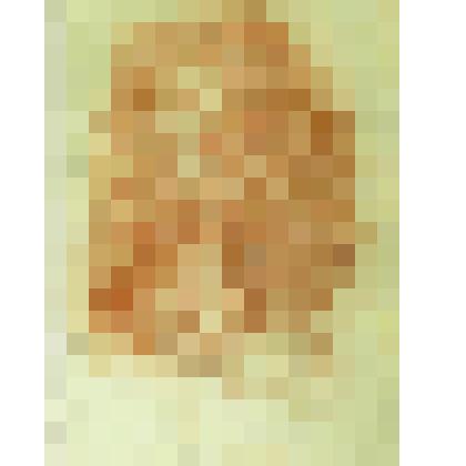 Эскиз "Лик". 
 Из цикла "Воспоминания", лист № 2