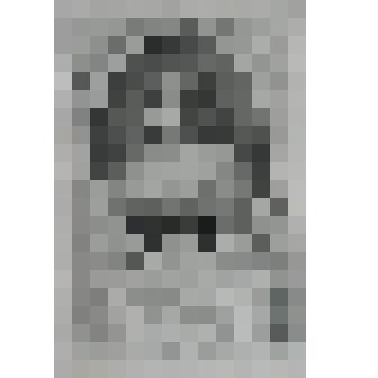 Портрет Марии ван Рейгерсберг, вдовы историографа Голландии Гуго ван Гроота [Гроция]