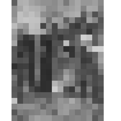 Фермерский дворец. Камердинерская. Внутренний шкаф