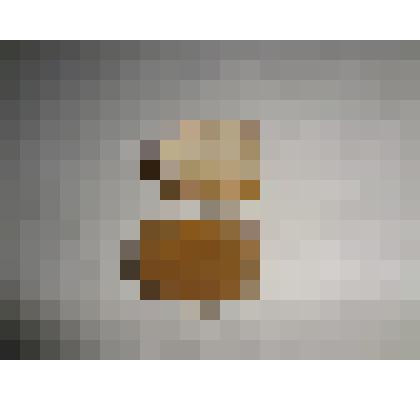 Крышка от коробки с цинковой мазью