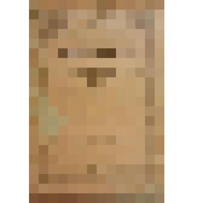 Книга. Семенов С.Т. Жених-москвич или "по одежке встречают, а по уму провожают" [Text] / "Посредник" указан в объявлении на обложке. - М. : Издательство "Посредник" (№ 446) [Обложка - № 221], 1903 [Обл.:1902] (Товарищество И.Д.Сытина)