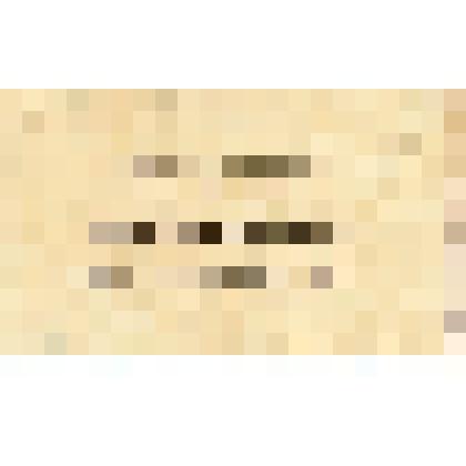 Документ. Визитная карточка Мержанова Мартына Ивановича. Печать