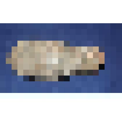 Туфля женская летняя