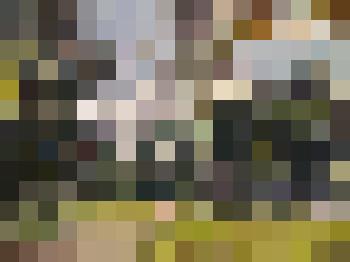 "Бурный день". Картина