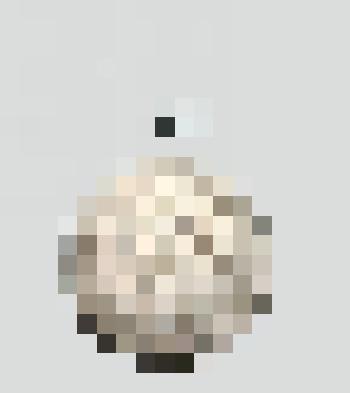 Монета. 15 копеек