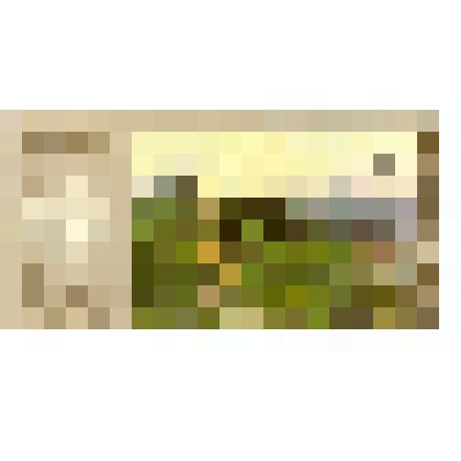 Марка почтовая. СССР.  А.К. Саврасов. «Радуга»