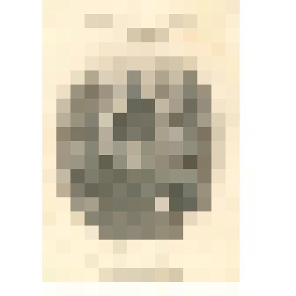 "Памятник Н.В. Гоголю". Гравюра