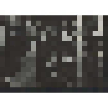 Фотография. Наблюдатели кольцевого солнечного затмения на станции Спасская Полисть