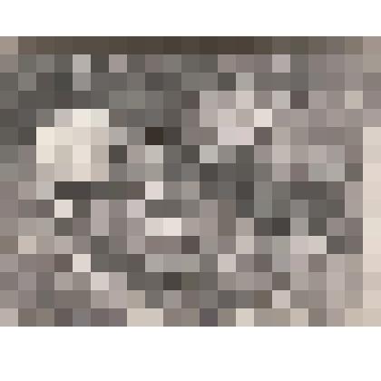 Фотография. Надгробная плита на могиле Л.А.Кассиля