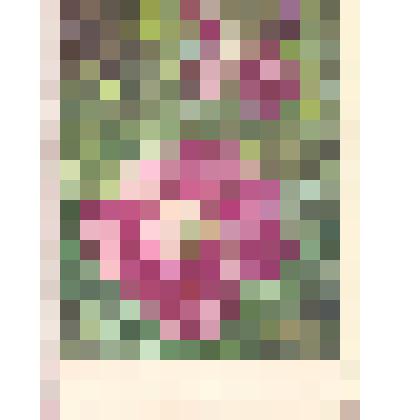 Карточка почтовая