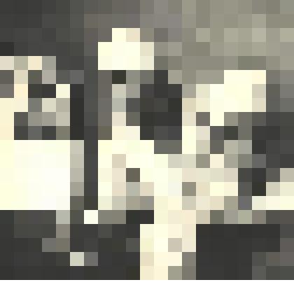 Фотографии. Фото ч/б. Хакасская областная больница. Врачи: Сироткин А.П. и Самсонов В.И.80-ые годы XX в