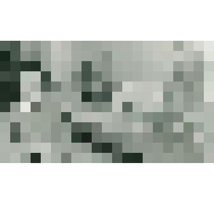 Фотография. Бродская А.А., заместитель директора музея "Коломенское"