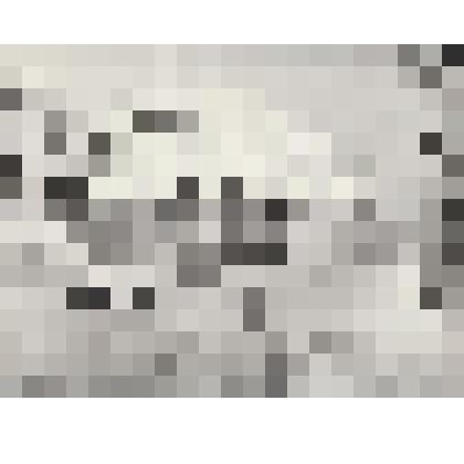 Фотография. Дворец торжественных событий, открыт в 1985г