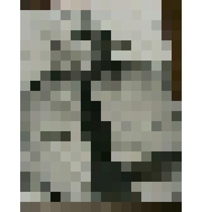 Фотооттиск по негативу снимка. Генерал С.П.Иванов