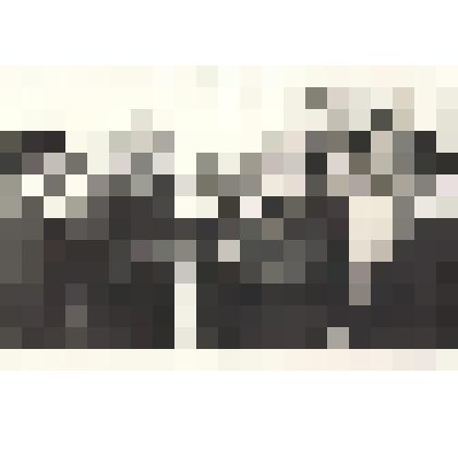 Фотографии. Фото. Шушеначев И.В. (первый справа). Посещение Хакасии секретарем ВЦСПС Ушаковым А.П