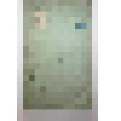 Книга. Приложения к лесоустроительной инструкции. Типо-литография Л.Бермана и Г.Рабиновича