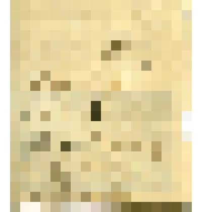 Расписка в приеме перевода № 177