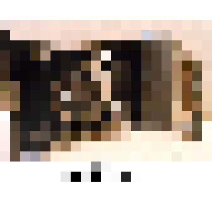 Фотоаппарат широкопленочный (60 х 90) «Agfa»