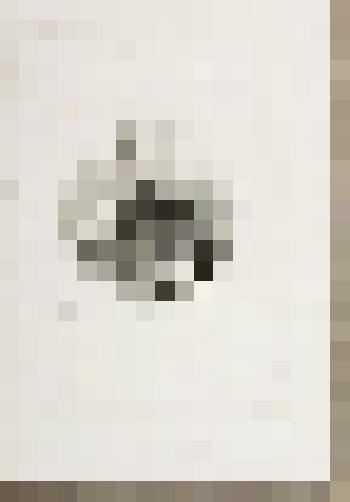 Портрет П.К. Услара. Контрэпрёв